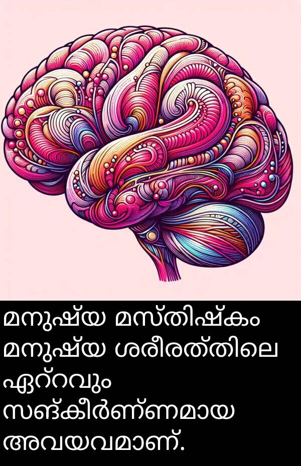 മനുഷ്യ: മനുഷ്യ മസ്തിഷ്കം മനുഷ്യ ശരീരത്തിലെ ഏറ്റവും സങ്കീർണ്ണമായ അവയവമാണ്.