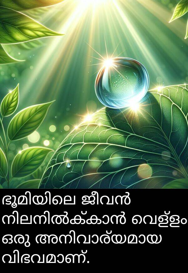 വെള്ളം: ഭൂമിയിലെ ജീവൻ നിലനിൽക്കാൻ വെള്ളം ഒരു അനിവാര്യമായ വിഭവമാണ്.