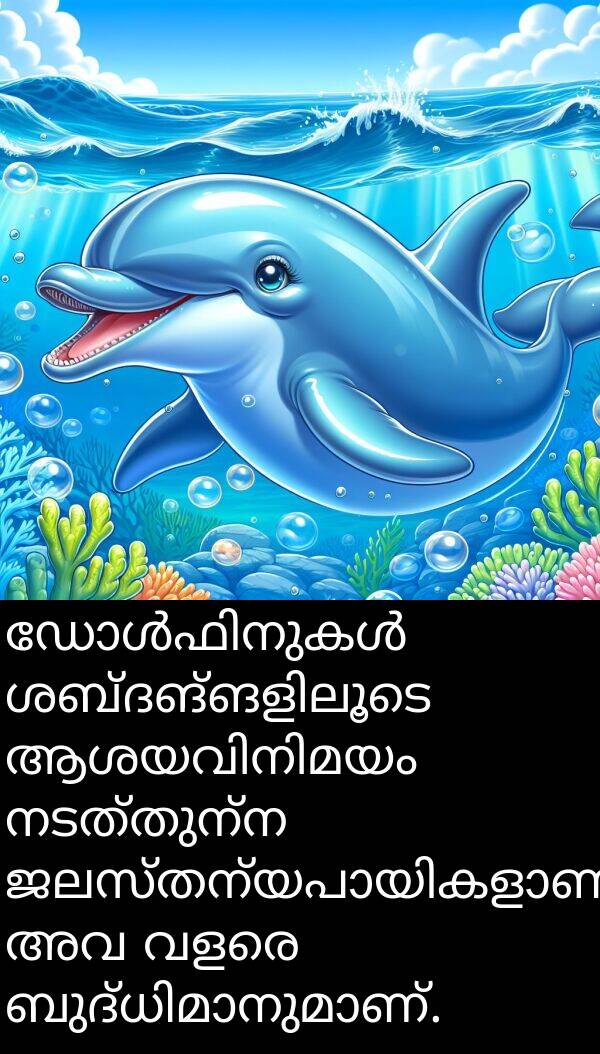 നടത്തുന്ന: ഡോൾഫിനുകൾ ശബ്ദങ്ങളിലൂടെ ആശയവിനിമയം നടത്തുന്ന ജലസ്തന്യപായികളാണ്, അവ വളരെ ബുദ്ധിമാനുമാണ്.