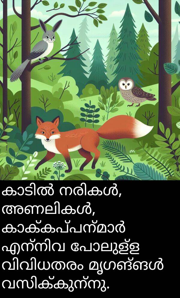 പോലുള്ള: കാടിൽ നരികൾ, അണലികൾ, കാക്കപ്പന്മാർ എന്നിവ പോലുള്ള വിവിധതരം മൃഗങ്ങൾ വസിക്കുന്നു.