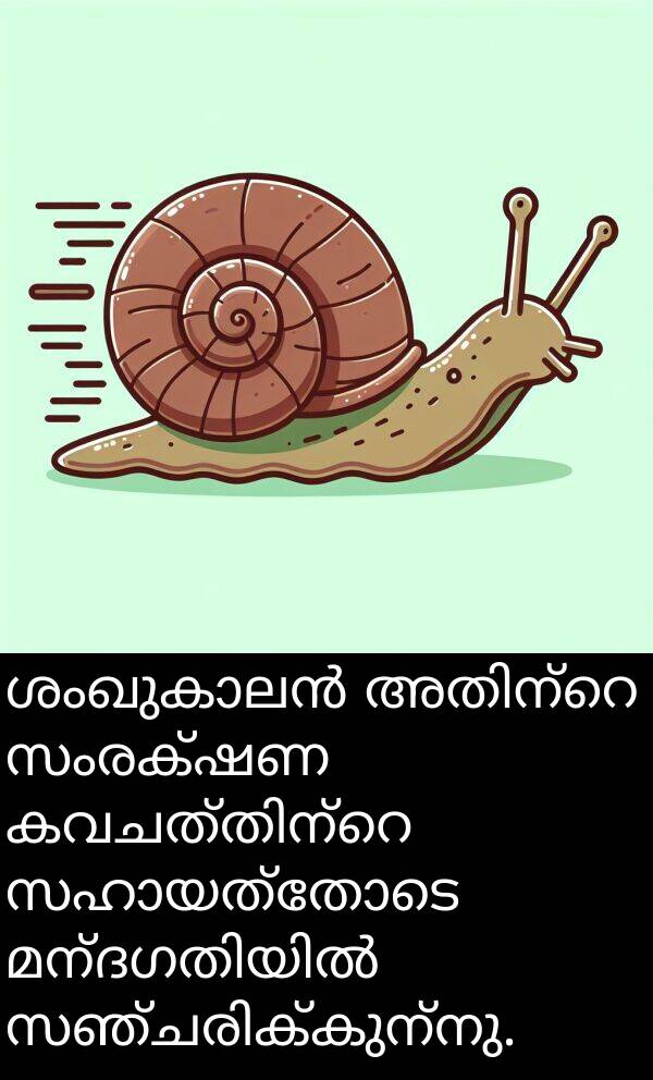 സംരക്ഷണ: ശംഖുകാലൻ അതിന്റെ സംരക്ഷണ കവചത്തിന്റെ സഹായത്തോടെ മന്ദഗതിയിൽ സഞ്ചരിക്കുന്നു.