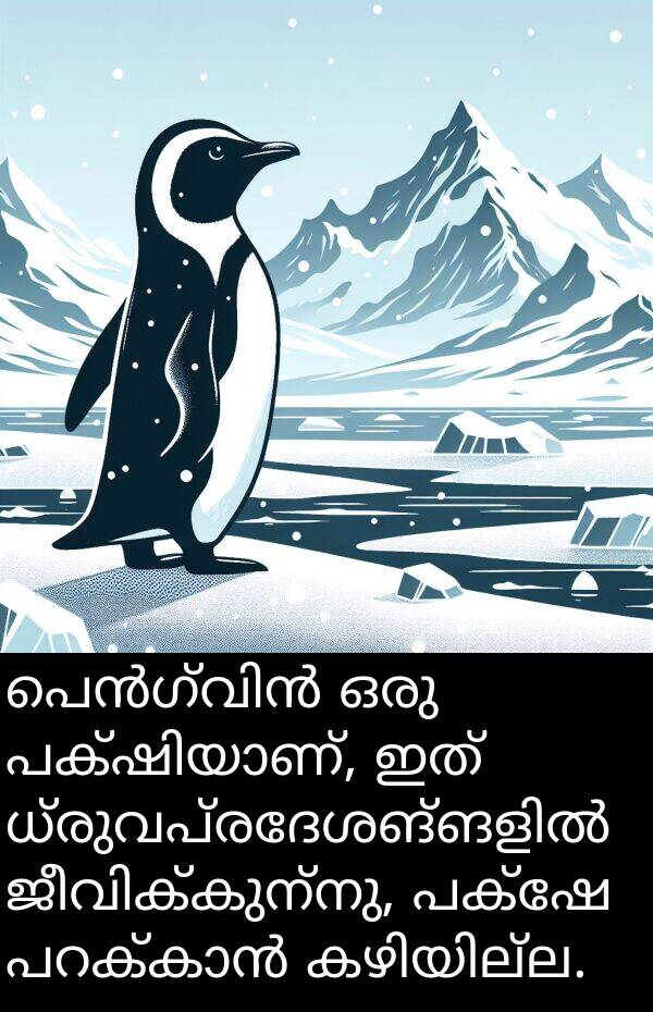 പക്ഷേ: പെൻഗ്വിൻ ഒരു പക്ഷിയാണ്, ഇത് ധ്രുവപ്രദേശങ്ങളിൽ ജീവിക്കുന്നു, പക്ഷേ പറക്കാൻ കഴിയില്ല.