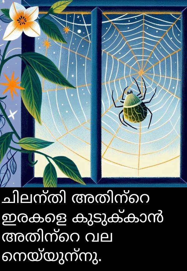 നെയ്യുന്നു: ചിലന്തി അതിന്റെ ഇരകളെ കുടുക്കാൻ അതിന്റെ വല നെയ്യുന്നു.