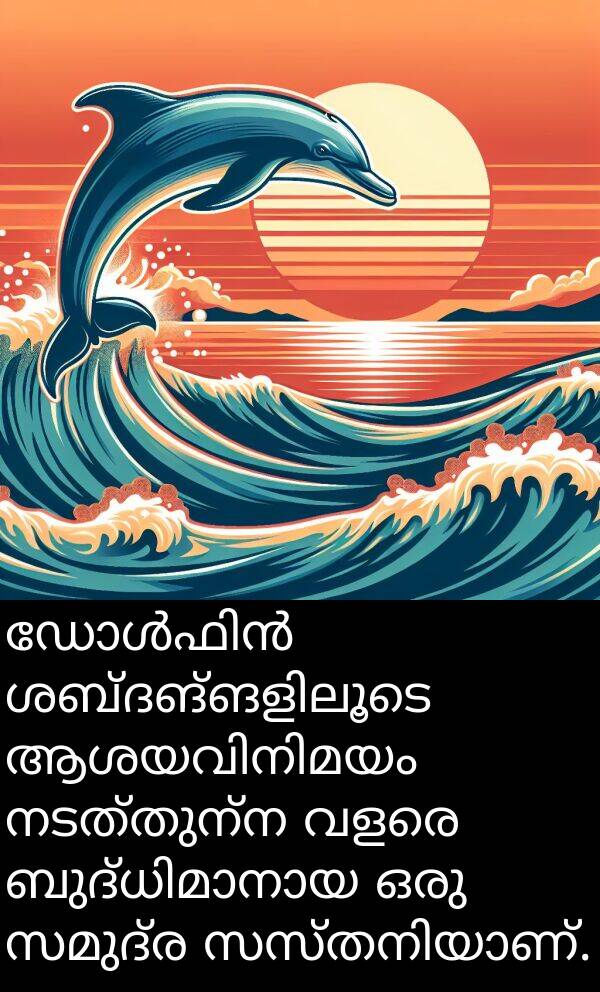 നടത്തുന്ന: ഡോൾഫിൻ ശബ്ദങ്ങളിലൂടെ ആശയവിനിമയം നടത്തുന്ന വളരെ ബുദ്ധിമാനായ ഒരു സമുദ്ര സസ്തനിയാണ്.