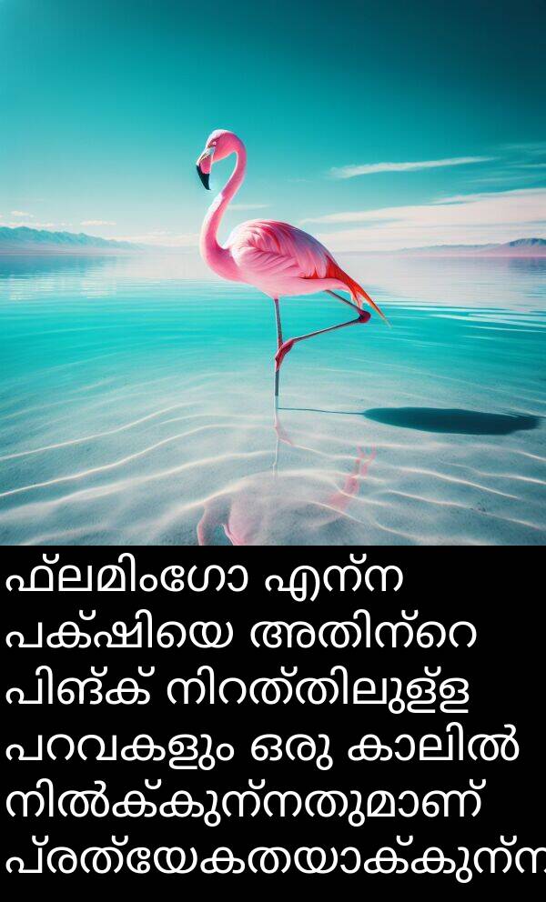 എന്ന: ഫ്ലമിംഗോ എന്ന പക്ഷിയെ അതിന്റെ പിങ്ക് നിറത്തിലുള്ള പറവകളും ഒരു കാലിൽ നിൽക്കുന്നതുമാണ് പ്രത്യേകതയാക്കുന്നത്.