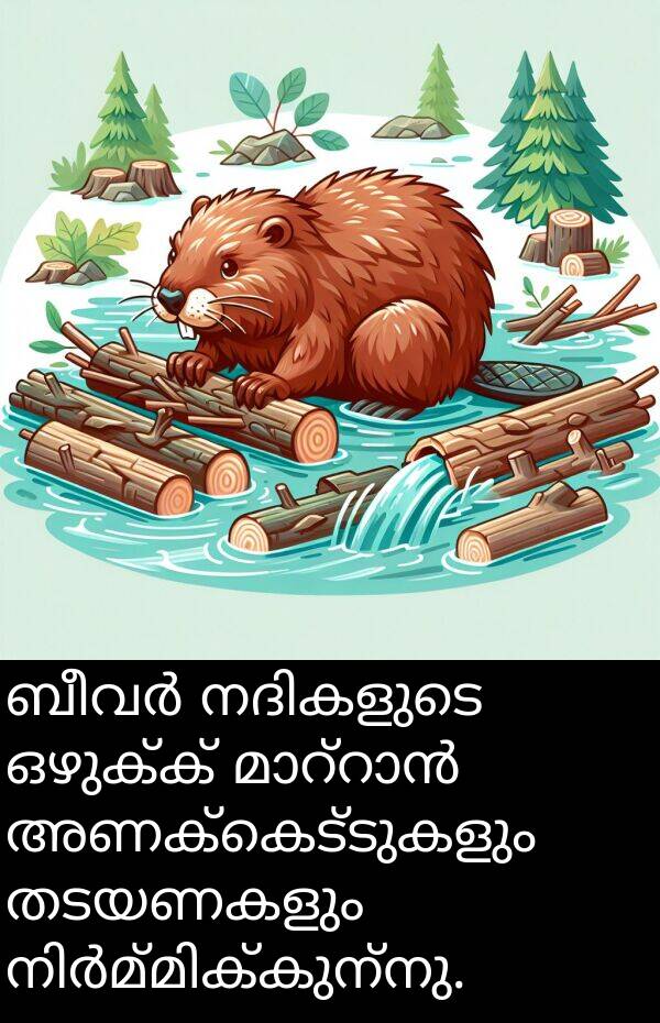 ഒഴുക്ക്: ബീവർ നദികളുടെ ഒഴുക്ക് മാറ്റാൻ അണക്കെട്ടുകളും തടയണകളും നിർമ്മിക്കുന്നു.
