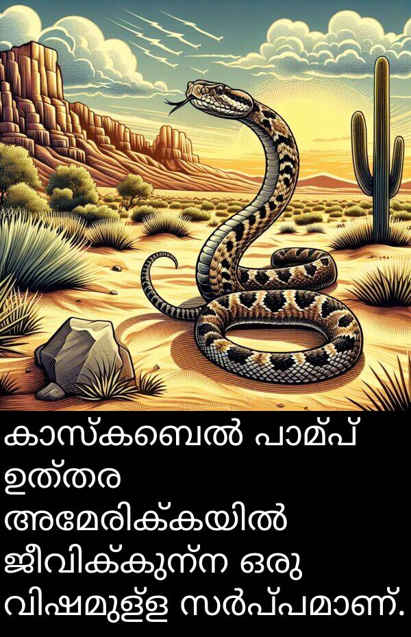 ഉത്തര: കാസ്കബെൽ പാമ്പ് ഉത്തര അമേരിക്കയിൽ ജീവിക്കുന്ന ഒരു വിഷമുള്ള സർപ്പമാണ്.