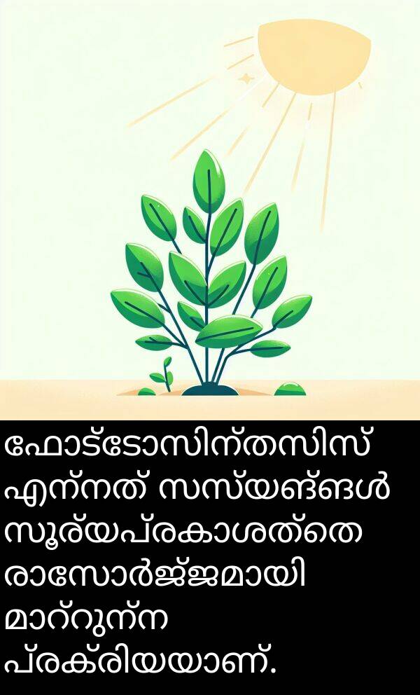 എന്നത്: ഫോട്ടോസിന്തസിസ് എന്നത് സസ്യങ്ങൾ സൂര്യപ്രകാശത്തെ രാസോർജ്ജമായി മാറ്റുന്ന പ്രക്രിയയാണ്.