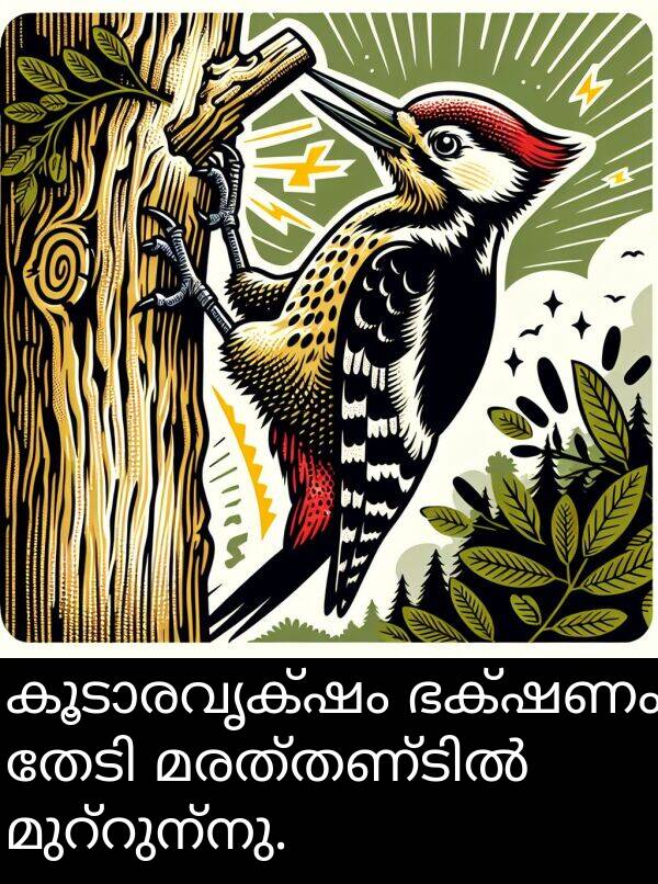 ഭക്ഷണം: കൂടാരവൃക്ഷം ഭക്ഷണം തേടി മരത്തണ്ടിൽ മുറ്റുന്നു.