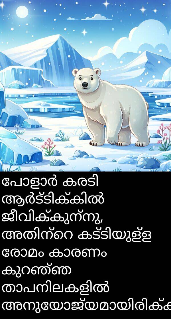 രോമം: പോളാർ കരടി ആർട്ടിക്കിൽ ജീവിക്കുന്നു, അതിന്റെ കട്ടിയുള്ള രോമം കാരണം കുറഞ്ഞ താപനിലകളിൽ അനുയോജ്യമായിരിക്കുന്നു.