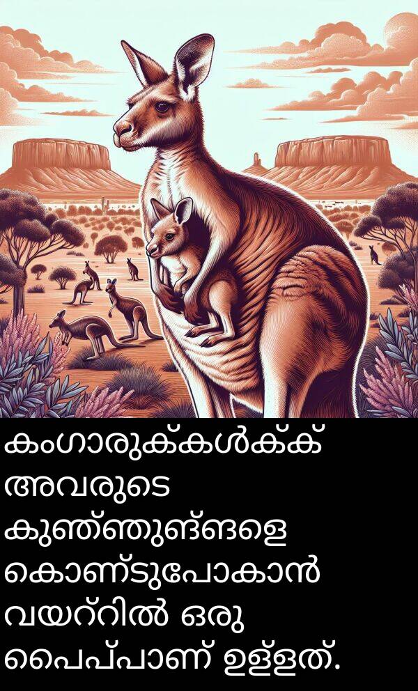 കുഞ്ഞുങ്ങളെ: കംഗാരുക്കൾക്ക് അവരുടെ കുഞ്ഞുങ്ങളെ കൊണ്ടുപോകാൻ വയറ്റിൽ ഒരു പൈപ്പാണ് ഉള്ളത്.