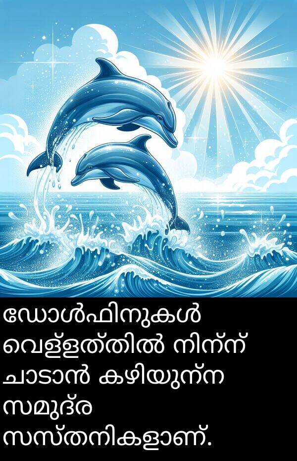സമുദ്ര: ഡോൾഫിനുകൾ വെള്ളത്തിൽ നിന്ന് ചാടാൻ കഴിയുന്ന സമുദ്ര സസ്തനികളാണ്.