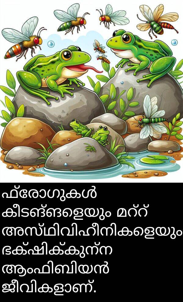 കീടങ്ങളെയും: ഫ്രോഗുകൾ കീടങ്ങളെയും മറ്റ് അസ്ഥിവിഹീനികളെയും ഭക്ഷിക്കുന്ന ആംഫിബിയൻ ജീവികളാണ്.