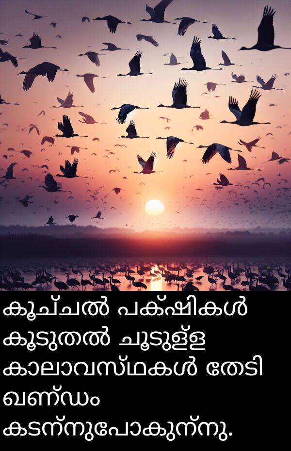 ഖണ്ഡം: കൂച്ചൽ പക്ഷികൾ കൂടുതൽ ചൂടുള്ള കാലാവസ്ഥകൾ തേടി ഖണ്ഡം കടന്നുപോകുന്നു.