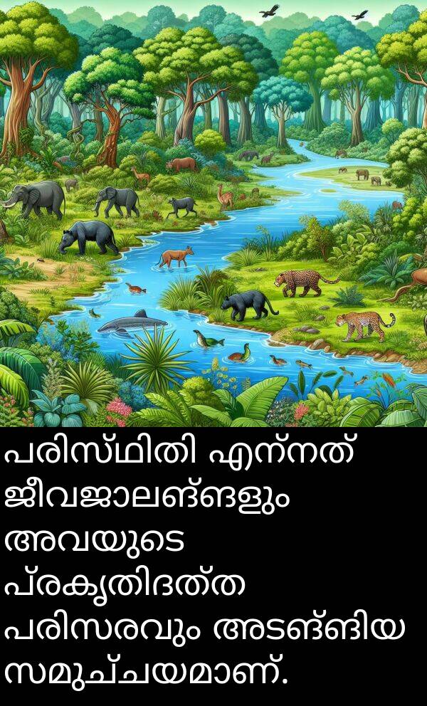 അവയുടെ: പരിസ്ഥിതി എന്നത് ജീവജാലങ്ങളും അവയുടെ പ്രകൃതിദത്ത പരിസരവും അടങ്ങിയ സമുച്ചയമാണ്.