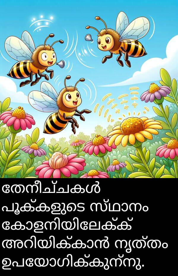 നൃത്തം: തേനീച്ചകൾ പൂക്കളുടെ സ്ഥാനം കോളനിയിലേക്ക് അറിയിക്കാൻ നൃത്തം ഉപയോഗിക്കുന്നു.