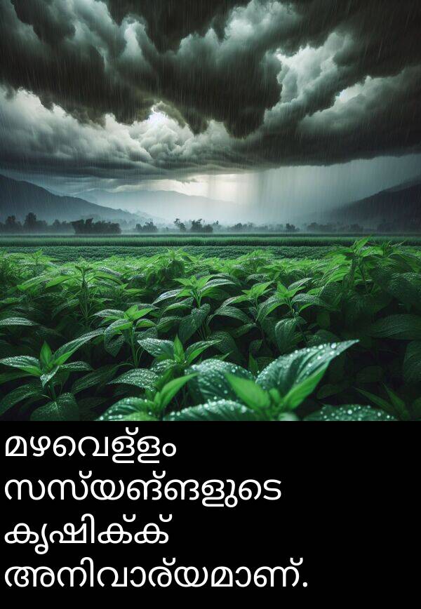 സസ്യങ്ങളുടെ: മഴവെള്ളം സസ്യങ്ങളുടെ കൃഷിക്ക് അനിവാര്യമാണ്.
