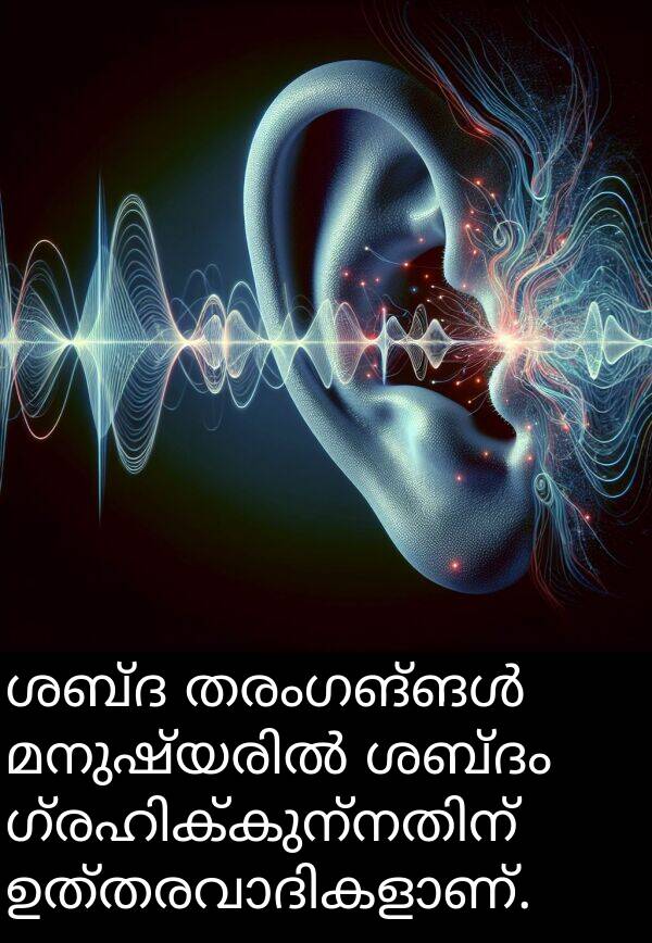 ശബ്ദം: ശബ്ദ തരംഗങ്ങൾ മനുഷ്യരിൽ ശബ്ദം ഗ്രഹിക്കുന്നതിന് ഉത്തരവാദികളാണ്.