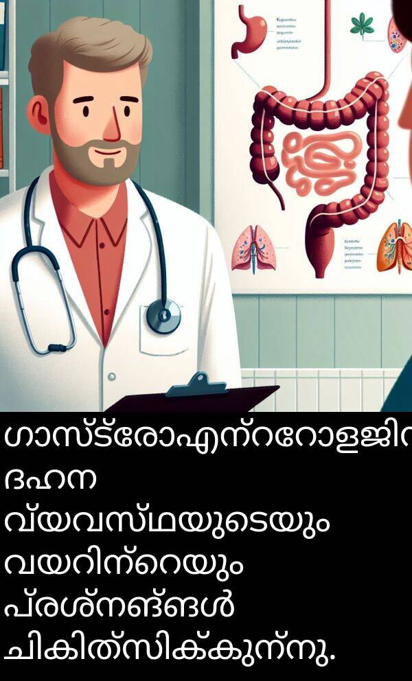 വ്യവസ്ഥയുടെയും: ഗാസ്ട്രോഎന്ററോളജിസ്റ്റ് ദഹന വ്യവസ്ഥയുടെയും വയറിന്റെയും പ്രശ്നങ്ങൾ ചികിത്സിക്കുന്നു.