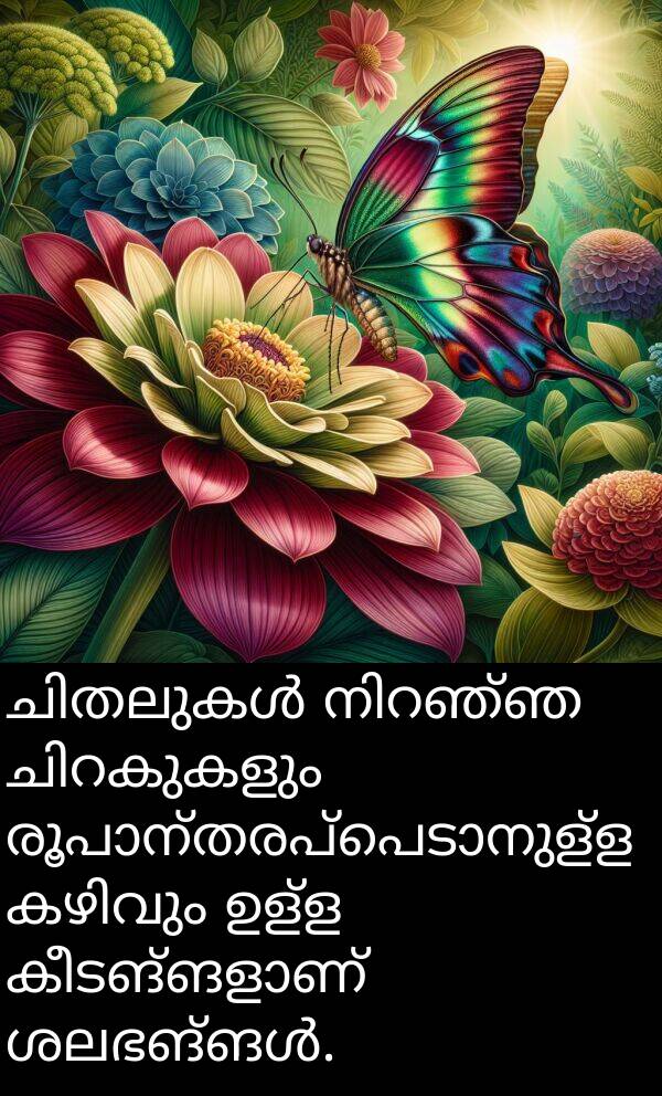 ഉള്ള: ചിതലുകൾ നിറഞ്ഞ ചിറകുകളും രൂപാന്തരപ്പെടാനുള്ള കഴിവും ഉള്ള കീടങ്ങളാണ് ശലഭങ്ങൾ.