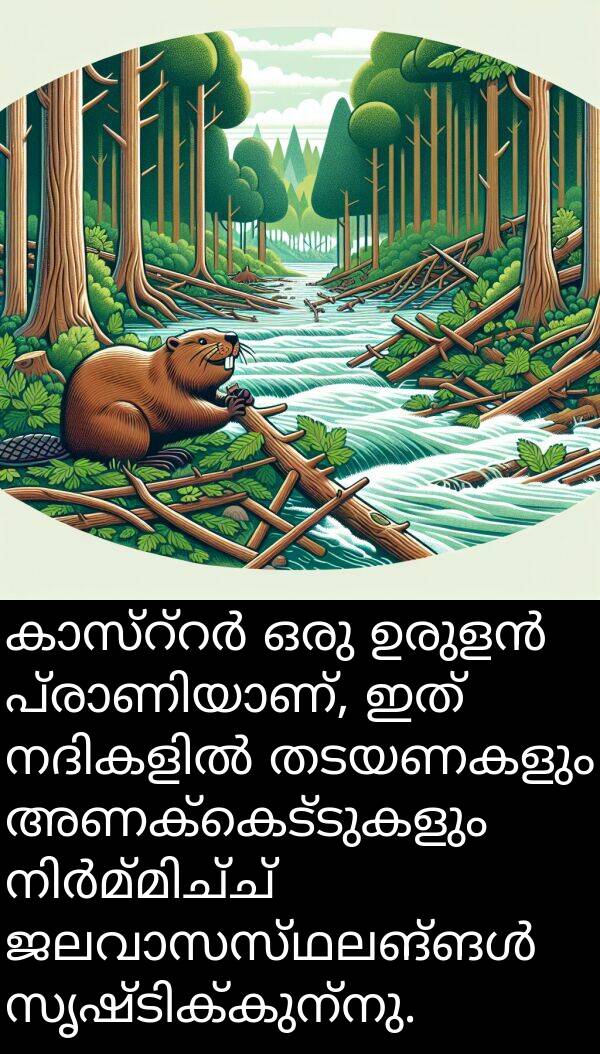 അണക്കെട്ടുകളും: കാസ്റ്റർ ഒരു ഉരുളൻ പ്രാണിയാണ്, ഇത് നദികളിൽ തടയണകളും അണക്കെട്ടുകളും നിർമ്മിച്ച് ജലവാസസ്ഥലങ്ങൾ സൃഷ്ടിക്കുന്നു.