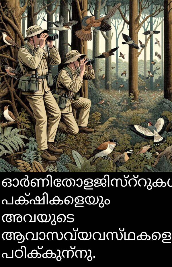 അവയുടെ: ഓർണിതോളജിസ്റ്റുകൾ പക്ഷികളെയും അവയുടെ ആവാസവ്യവസ്ഥകളെയും പഠിക്കുന്നു.