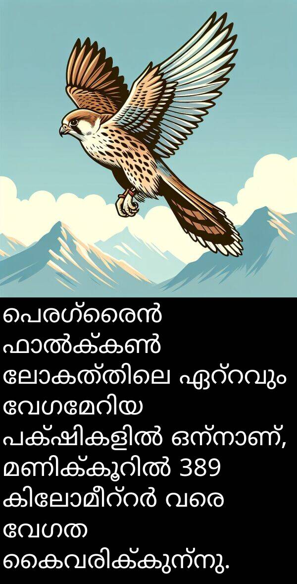 വേഗത: പെരഗ്രൈൻ ഫാൽക്കൺ ലോകത്തിലെ ഏറ്റവും വേഗമേറിയ പക്ഷികളിൽ ഒന്നാണ്, മണിക്കൂറിൽ 389 കിലോമീറ്റർ വരെ വേഗത കൈവരിക്കുന്നു.