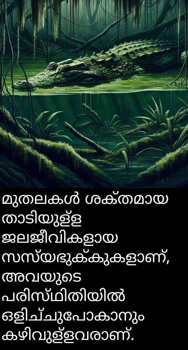 അവയുടെ: മുതലകൾ ശക്തമായ താടിയുള്ള ജലജീവികളായ സസ്യഭുക്കുകളാണ്, അവയുടെ പരിസ്ഥിതിയിൽ ഒളിച്ചുപോകാനും കഴിവുള്ളവരാണ്.