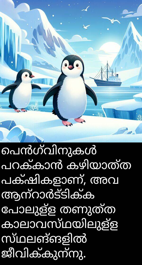 തണുത്ത: പെൻഗ്വിനുകൾ പറക്കാൻ കഴിയാത്ത പക്ഷികളാണ്, അവ ആന്റാർട്ടിക്ക പോലുള്ള തണുത്ത കാലാവസ്ഥയിലുള്ള സ്ഥലങ്ങളിൽ ജീവിക്കുന്നു.