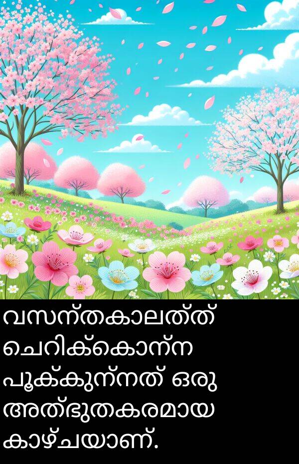 പൂക്കുന്നത്: വസന്തകാലത്ത് ചെറിക്കൊന്ന പൂക്കുന്നത് ഒരു അത്ഭുതകരമായ കാഴ്ചയാണ്.