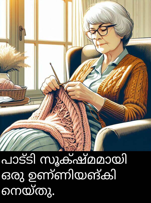 നെയ്തു: പാട്ടി സൂക്ഷ്മമായി ഒരു ഉണ്ണിയങ്കി നെയ്തു.