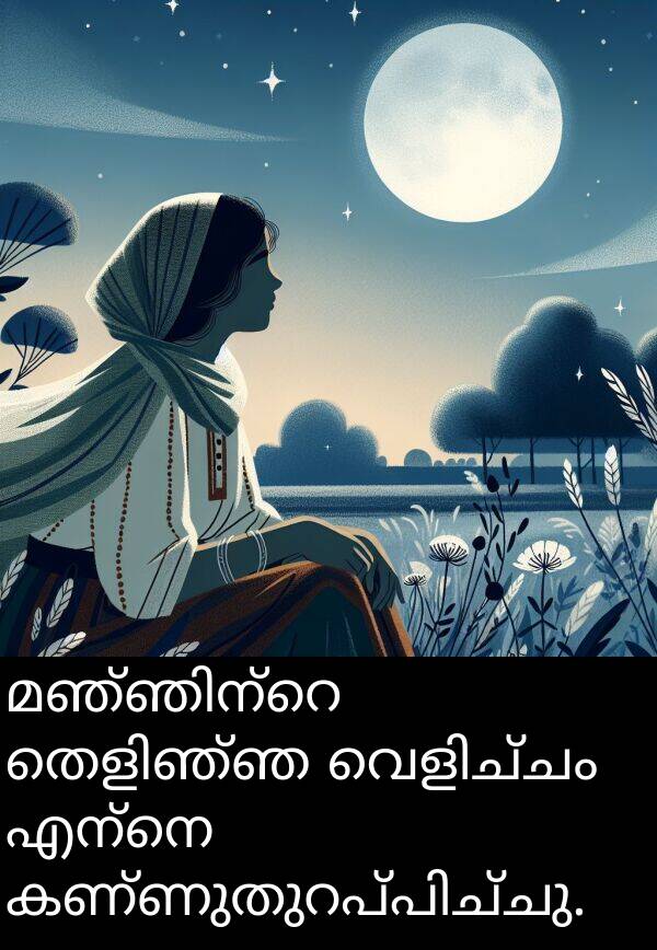 എന്നെ: മഞ്ഞിന്റെ തെളിഞ്ഞ വെളിച്ചം എന്നെ കണ്ണുതുറപ്പിച്ചു.
