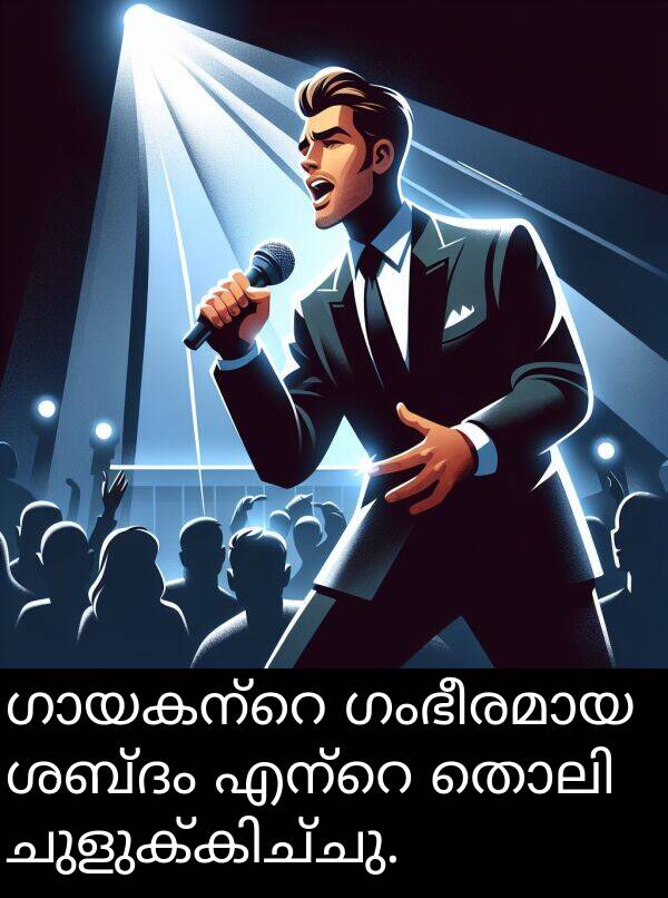 ശബ്ദം: ഗായകന്റെ ഗംഭീരമായ ശബ്ദം എന്റെ തൊലി ചുളുക്കിച്ചു.