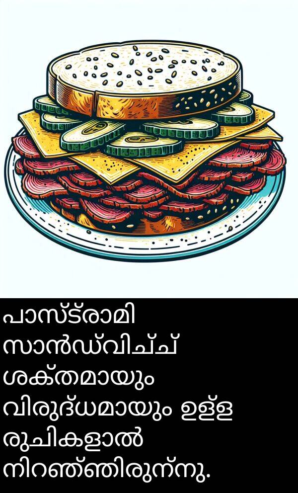 ഉള്ള: പാസ്ട്രാമി സാൻഡ്‌വിച്ച് ശക്തമായും വിരുദ്ധമായും ഉള്ള രുചികളാൽ നിറഞ്ഞിരുന്നു.