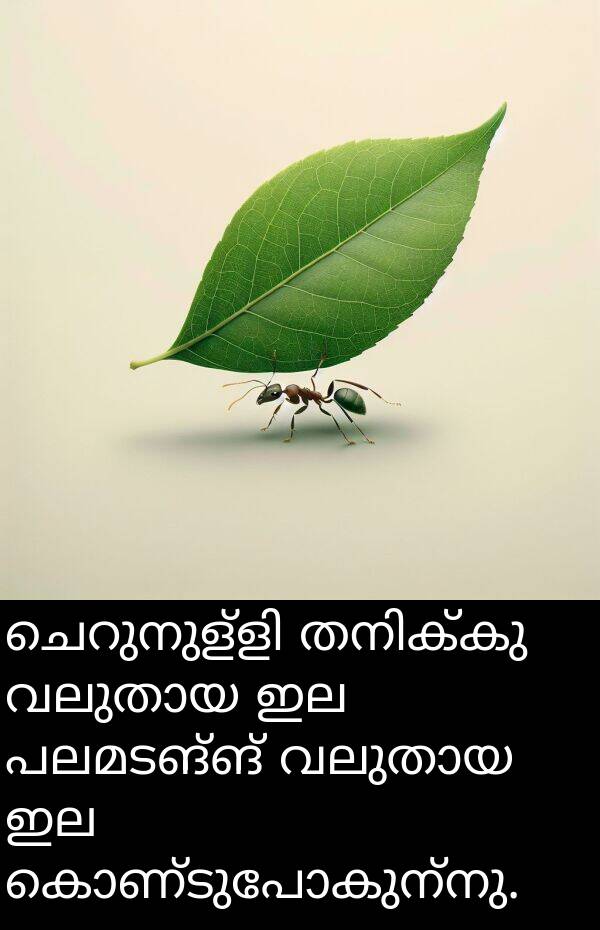 പലമടങ്ങ്: ചെറുനുള്ളി തനിക്കു വലുതായ ഇല പലമടങ്ങ് വലുതായ ഇല കൊണ്ടുപോകുന്നു.