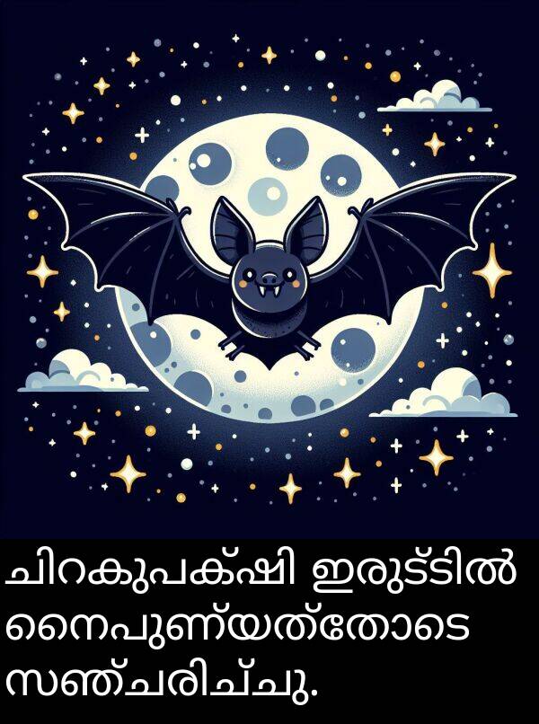 നൈപുണ്യത്തോടെ: ചിറകുപക്ഷി ഇരുട്ടിൽ നൈപുണ്യത്തോടെ സഞ്ചരിച്ചു.