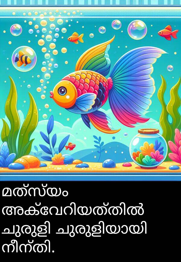 മത്സ്യം: മത്സ്യം അക്വേറിയത്തിൽ ചുരുളി ചുരുളിയായി നീന്തി.