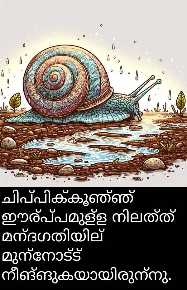 മുന്നോട്ട്: ചിപ്പിക്കൂഞ്ഞ് ഈര്പ്പമുള്ള നിലത്ത് മന്ദഗതിയില്‍ മുന്നോട്ട് നീങ്ങുകയായിരുന്നു.