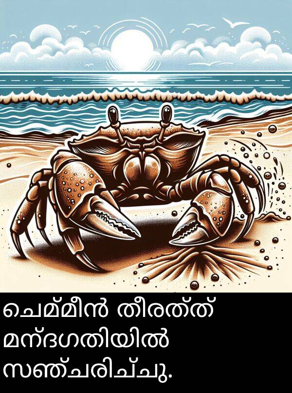 തീരത്ത്: ചെമ്മീൻ തീരത്ത് മന്ദഗതിയിൽ സഞ്ചരിച്ചു.