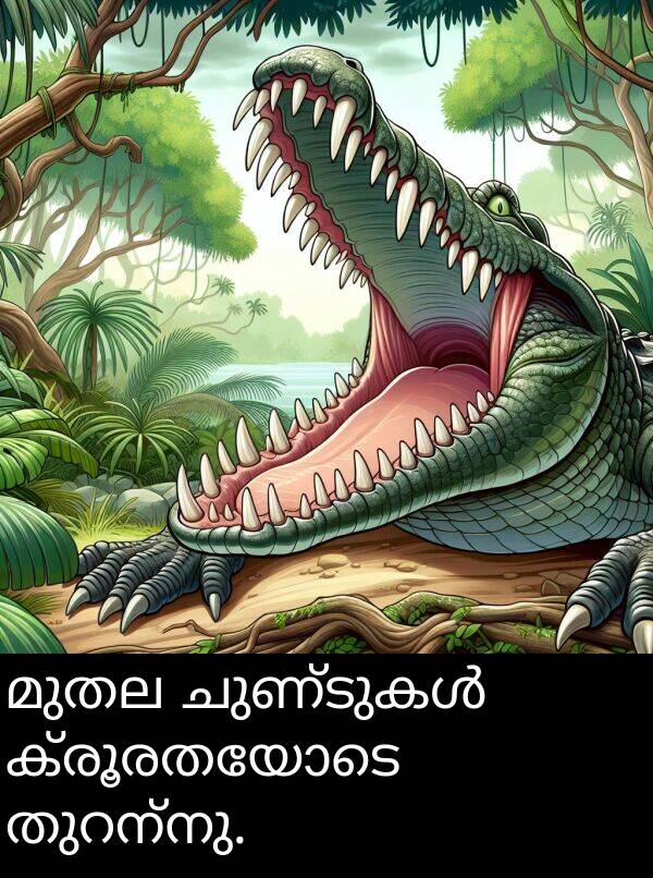 ക്രൂരതയോടെ: മുതല ചുണ്ടുകൾ ക്രൂരതയോടെ തുറന്നു.
