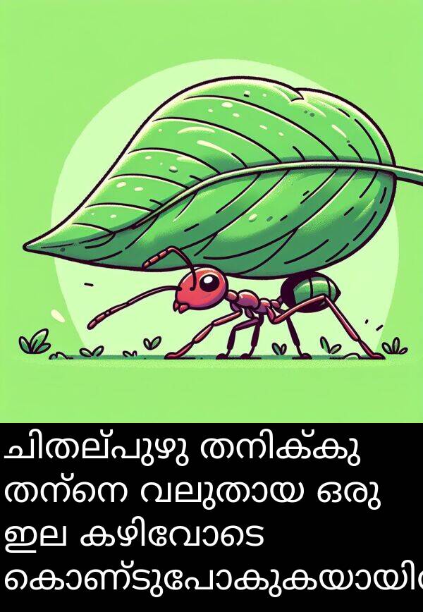 തന്നെ: ചിതല്പുഴു തനിക്കു തന്നെ വലുതായ ഒരു ഇല കഴിവോടെ കൊണ്ടുപോകുകയായിരുന്നു.