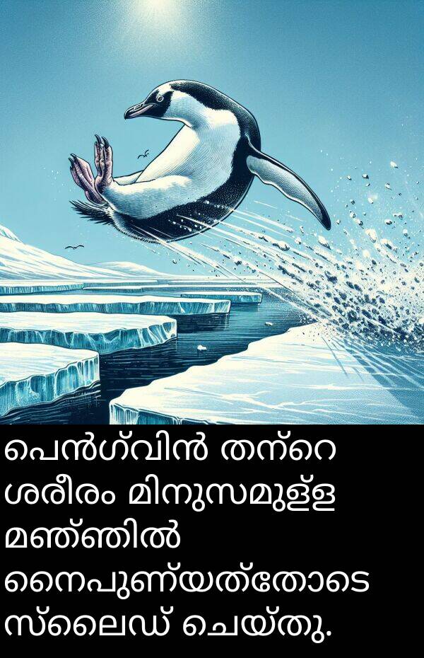 നൈപുണ്യത്തോടെ: പെൻഗ്വിൻ തന്റെ ശരീരം മിനുസമുള്ള മഞ്ഞിൽ നൈപുണ്യത്തോടെ സ്ലൈഡ് ചെയ്തു.
