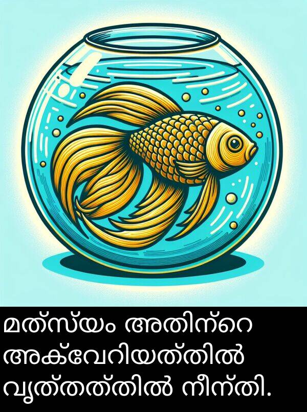 മത്സ്യം: മത്സ്യം അതിന്റെ അക്വേറിയത്തിൽ വൃത്തത്തിൽ നീന്തി.