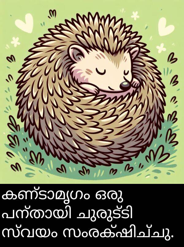 സ്വയം: കണ്ടാമൃഗം ഒരു പന്തായി ചുരുട്ടി സ്വയം സംരക്ഷിച്ചു.