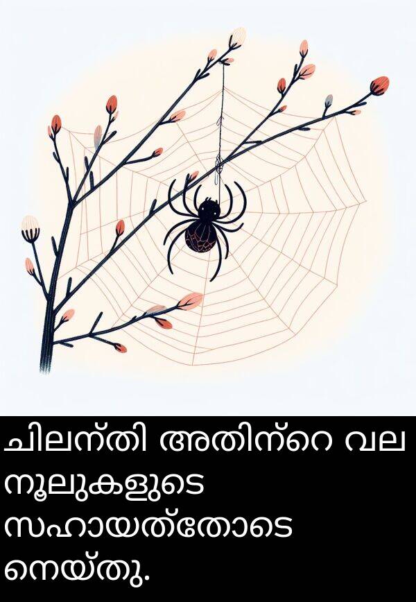 നൂലുകളുടെ: ചിലന്തി അതിന്റെ വല നൂലുകളുടെ സഹായത്തോടെ നെയ്തു.