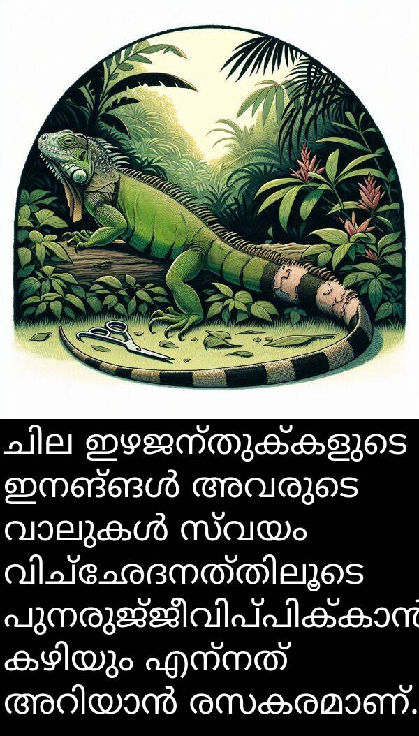 ഇഴജന്തുക്കളുടെ: ചില ഇഴജന്തുക്കളുടെ ഇനങ്ങൾ അവരുടെ വാലുകൾ സ്വയം വിച്ഛേദനത്തിലൂടെ പുനരുജ്ജീവിപ്പിക്കാൻ കഴിയും എന്നത് അറിയാൻ രസകരമാണ്.
