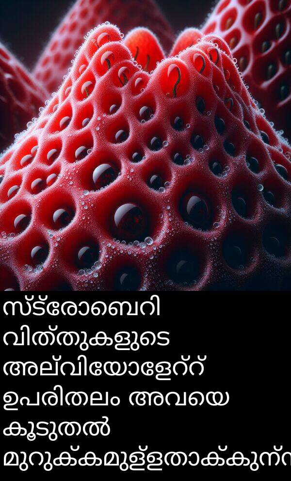 അവയെ: സ്ട്രോബെറി വിത്തുകളുടെ അല്വിയോളേറ്റ് ഉപരിതലം അവയെ കൂടുതൽ മുറുക്കമുള്ളതാക്കുന്നു.