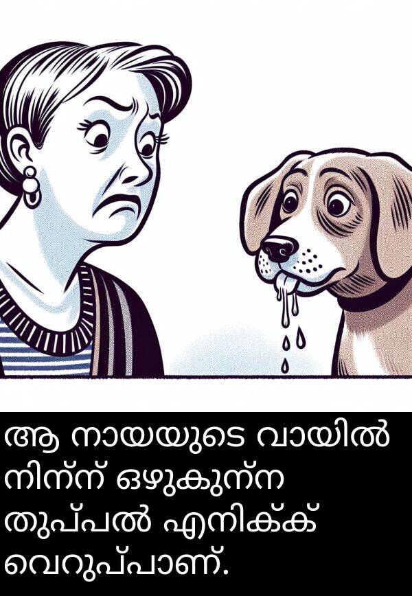 ഒഴുകുന്ന: ആ നായയുടെ വായിൽ നിന്ന് ഒഴുകുന്ന തുപ്പൽ എനിക്ക് വെറുപ്പാണ്.