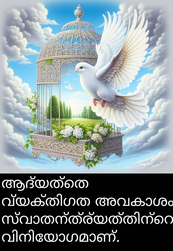 ആദ്യത്തെ: ആദ്യത്തെ വ്യക്തിഗത അവകാശം സ്വാതന്ത്ര്യത്തിന്റെ വിനിയോഗമാണ്.