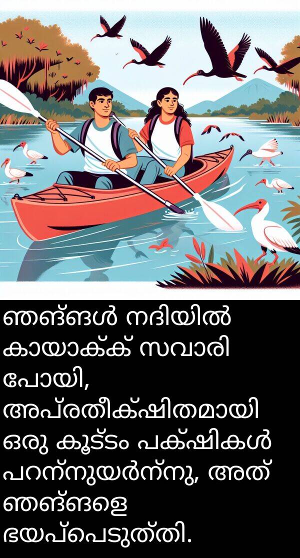 കൂട്ടം: ഞങ്ങൾ നദിയിൽ കായാക്ക് സവാരി പോയി, അപ്രതീക്ഷിതമായി ഒരു കൂട്ടം പക്ഷികൾ പറന്നുയർന്നു, അത് ഞങ്ങളെ ഭയപ്പെടുത്തി.